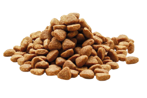 crocchette-classiche_alimenti-per-cani