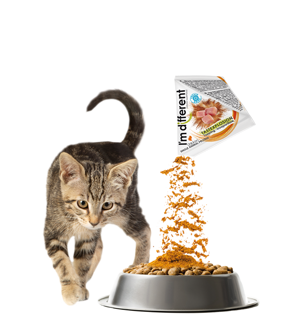 insaporitori-liofilizzati-per-gatti_imdifferent_insaporitori-per-gatti_gatti_gatto