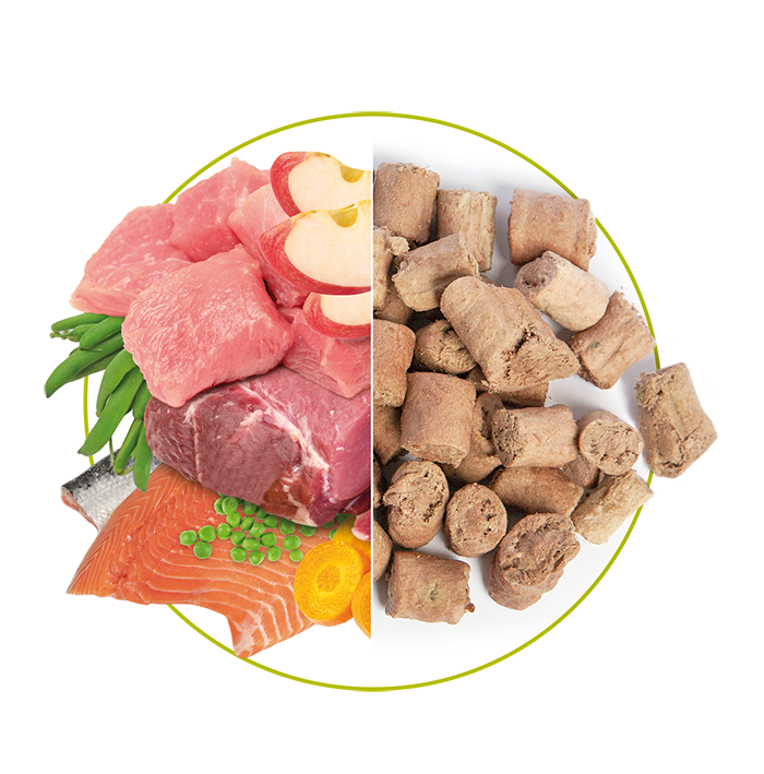 Human Grade ingredienti per cani e gatti