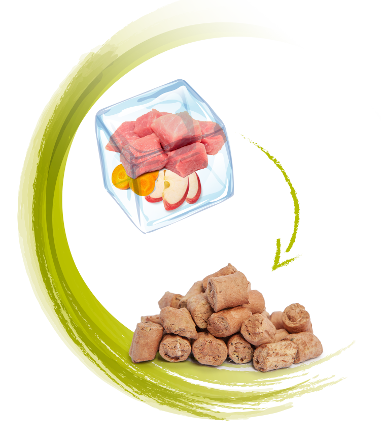 freeze-drying-process Freeze drying is a low temperature dehydration process that removes moisture from fresh ingredients without cooking away vital nutrients and flavor