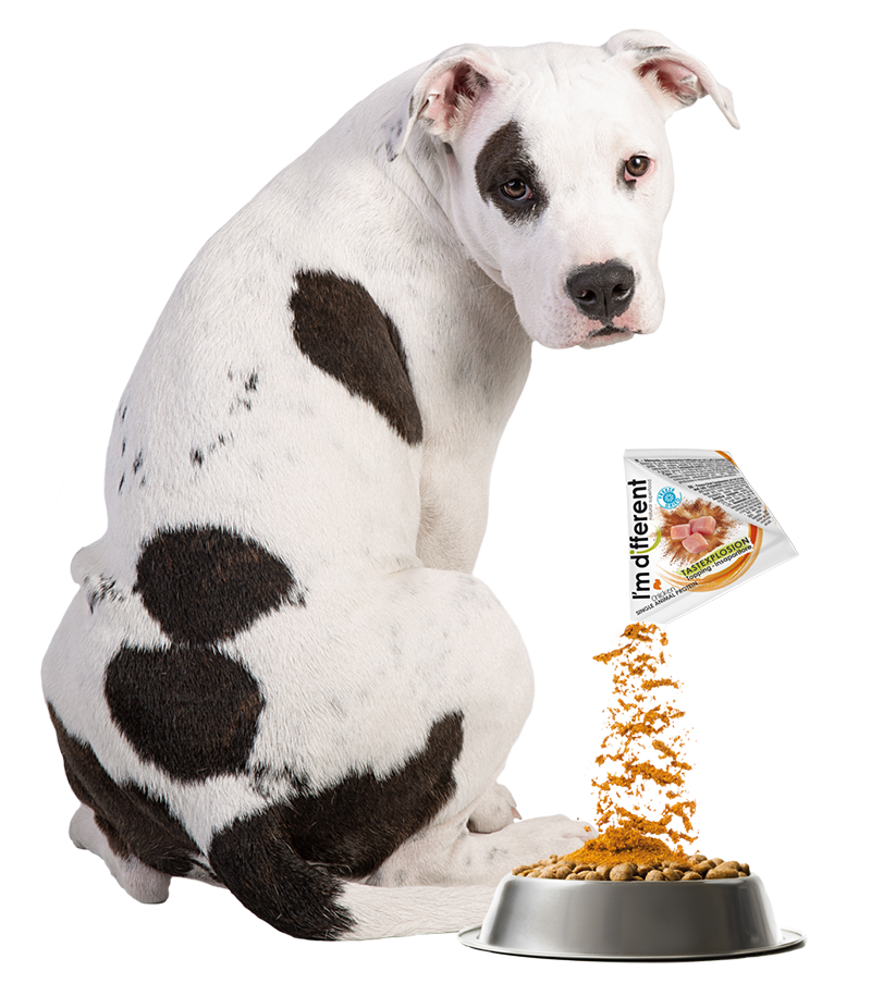 insaporitori-liofilizzati-in-polvere-per-cani_appetizzanti-per-cani