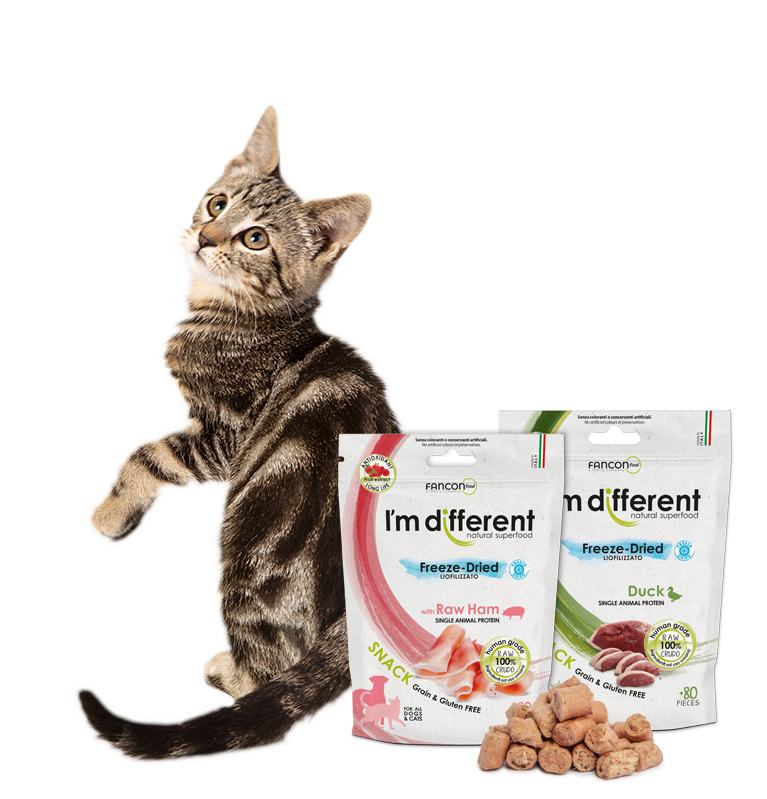 Snack-liofilizzati-per-gatti