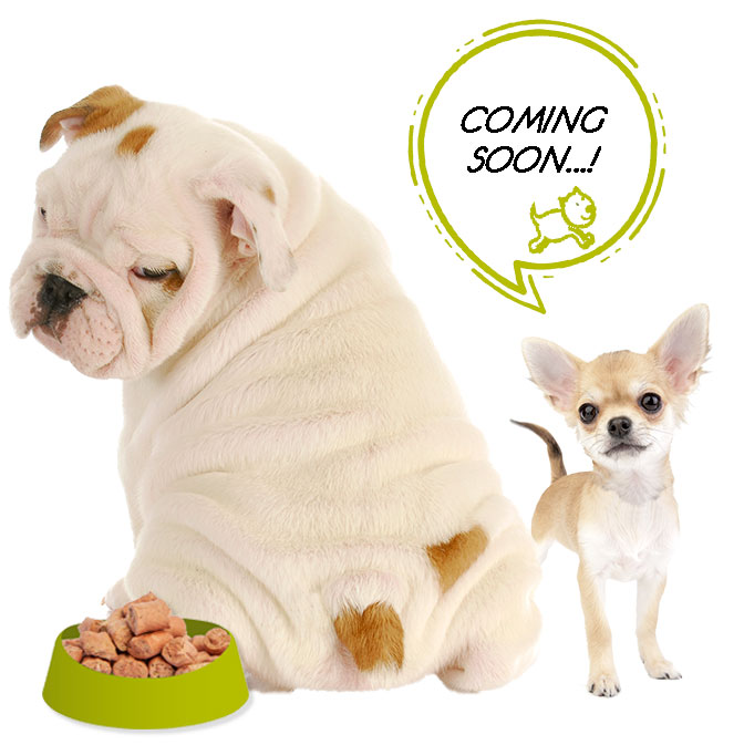 homesitonovita_en Coming soon