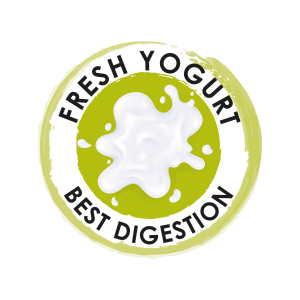 Fresh Yogurt best digestion